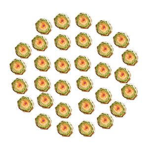 Artichokes