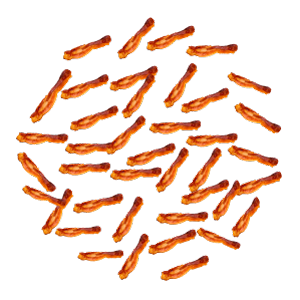 Bacon