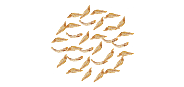 anchovies