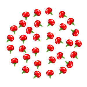 cherry-hot-peppers