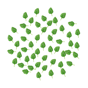 spinach